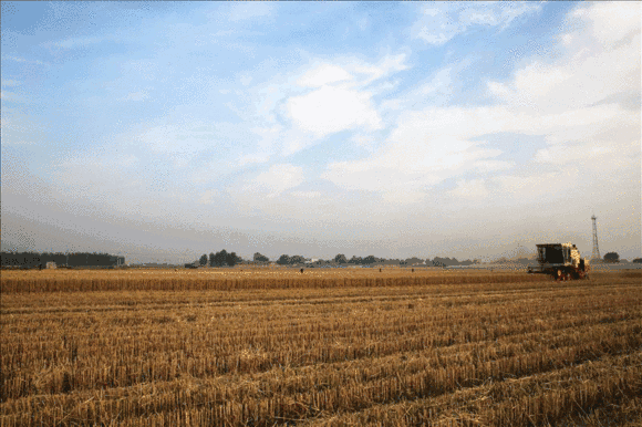 微信图片_20200609081504.gif