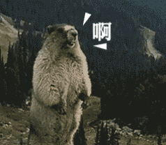 20200612_15974_1591943425243.gif