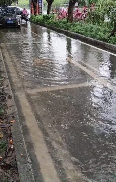 微信图片_20200613112036.gif