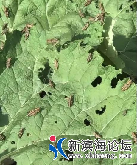 微信图片_20200613170659.jpg