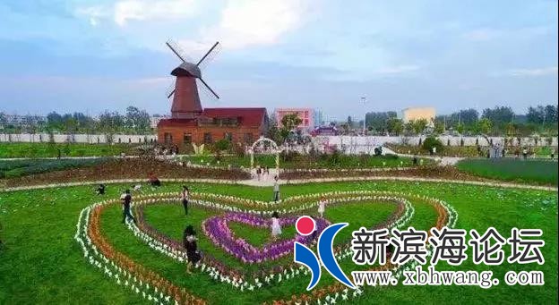 微信图片_20200614081138.jpg