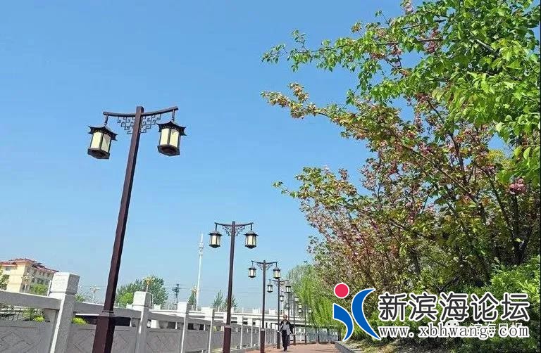微信图片_20200616090432.jpg