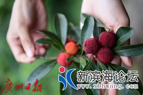 微信图片_20200616110305.png