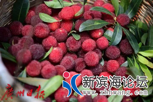 微信图片_20200616110317.png