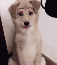 20200616_96622_1592304747449.gif