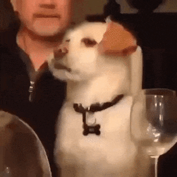 20200620_96622_1592649223544.gif