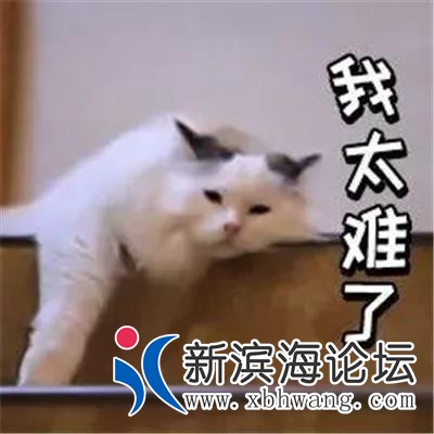 微信图片_20200623165444.jpg