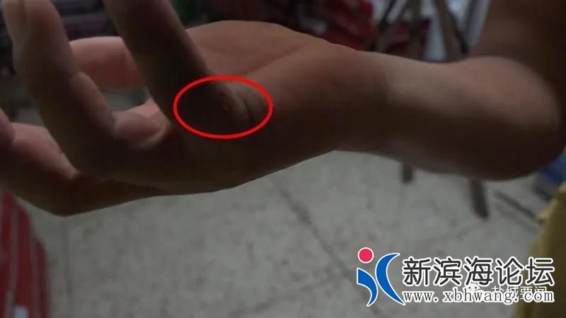 微信图片_20200624092101.jpg