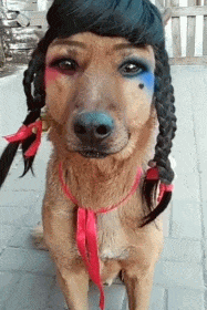 20200624_96622_1592982716885.gif