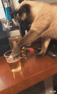 20200625_96622_1593044098622.gif