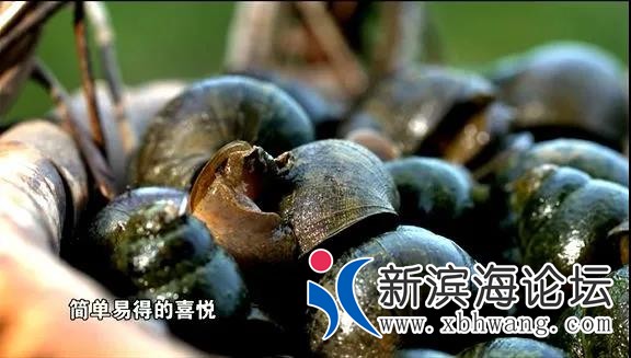 微信图片_20200626103519.jpg
