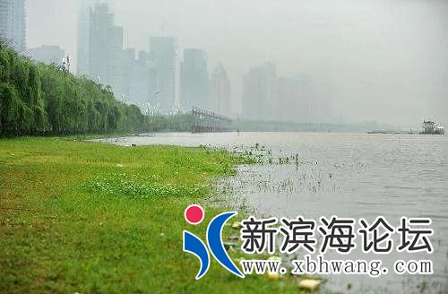 微信图片_20200627102425.jpg