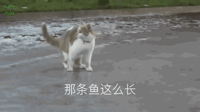 20200627_67310_1593240492780.gif
