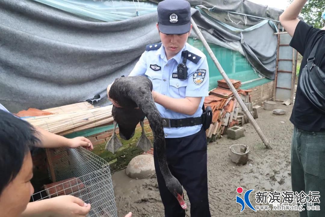 微信图片_20200628113143.jpg