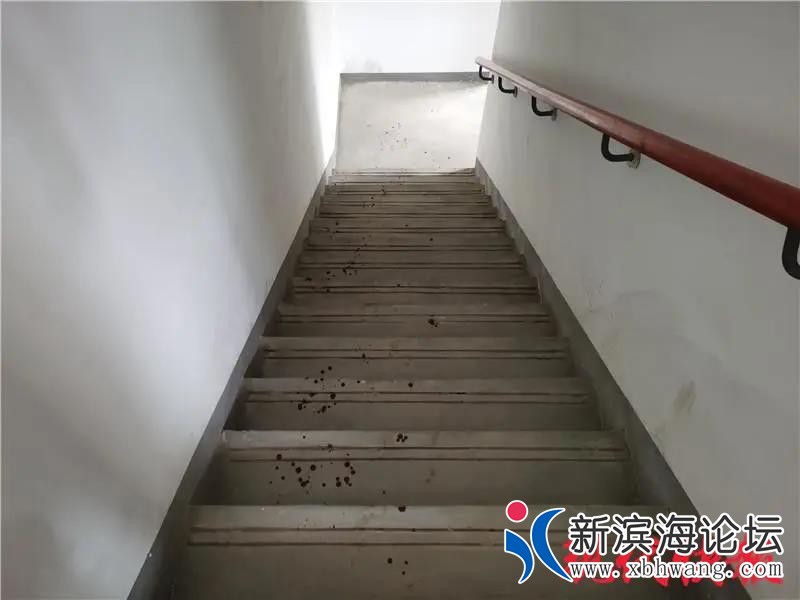 微信图片_20200628150230.jpg