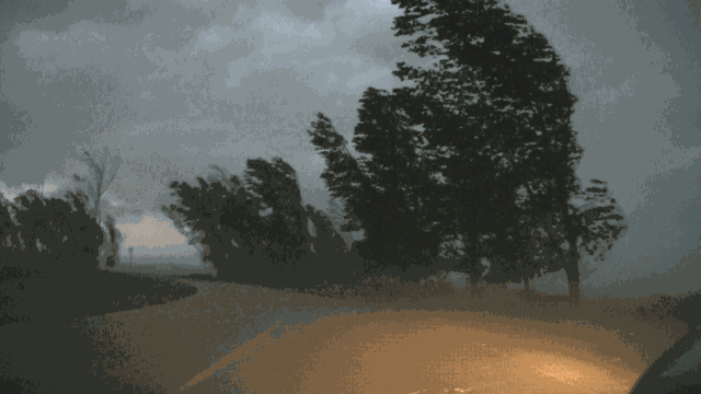 微信图片_20200629085538.gif