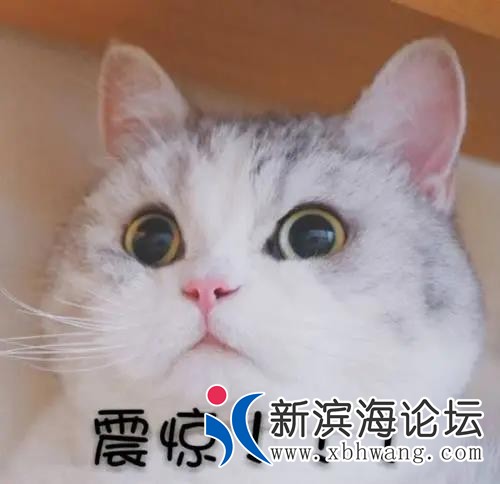 微信图片_20200629095108.jpg