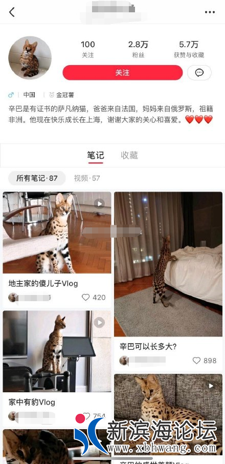 微信图片_20200629095111.png