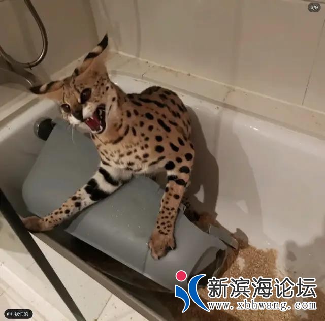 微信图片_20200629095114.jpg