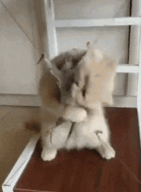 20200629_96622_1593397026981.gif