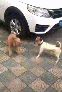 20200629_15974_1593398877933.gif