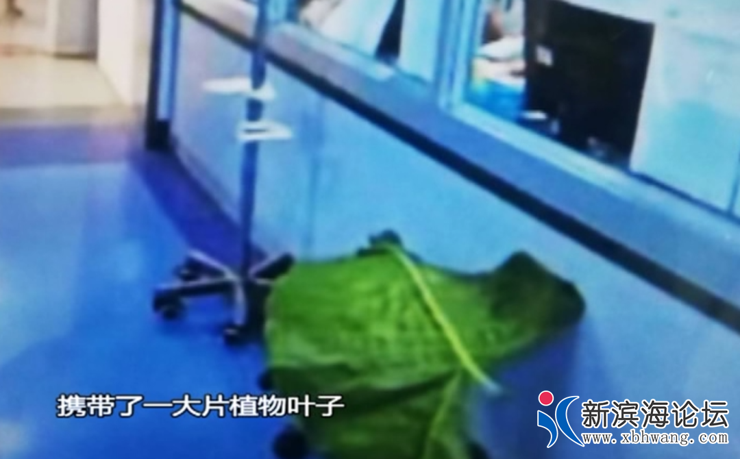 微信图片_20200701090938.png