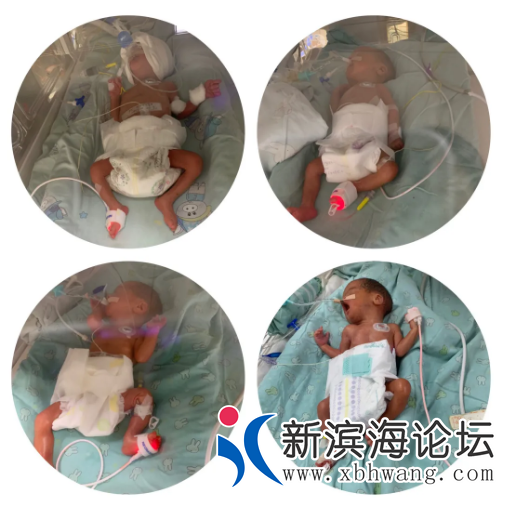 微信图片_20200702154641.png
