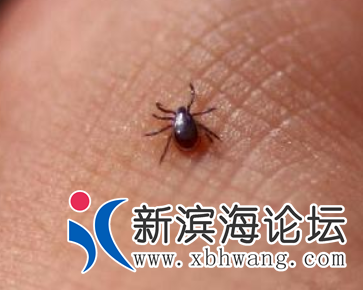 微信图片_20200704172756.png