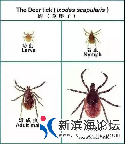 微信图片_20200704174235.jpg