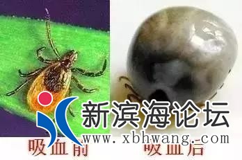 微信图片_20200704174240.jpg