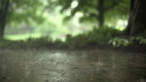 640.gif