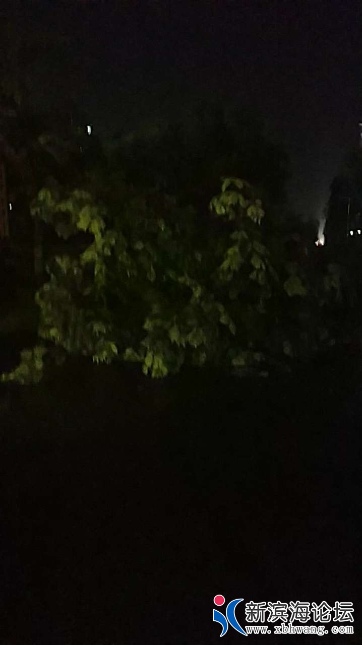20200706_47680_1594040332594.jpg