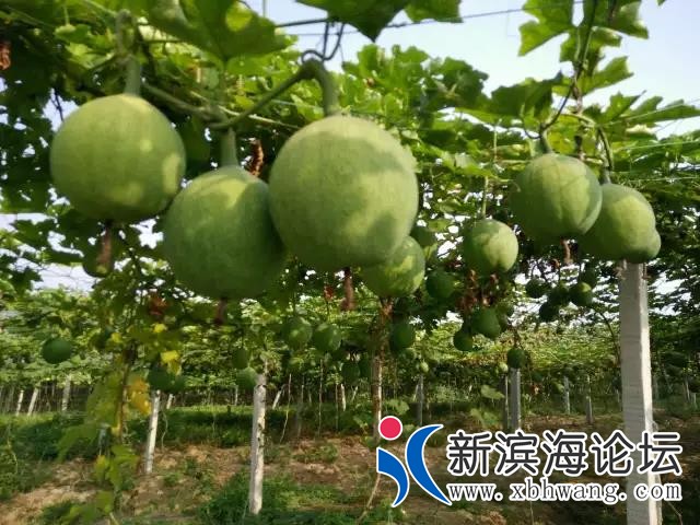 微信图片_20200707083338.jpg