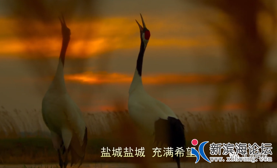 微信图片_20200709083007.png