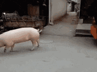20200710_96622_1594346292202.gif