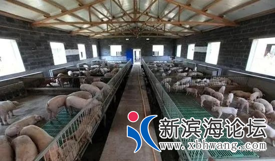 微信图片_20200714092534.png