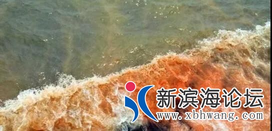 微信图片_20200714093814.jpg