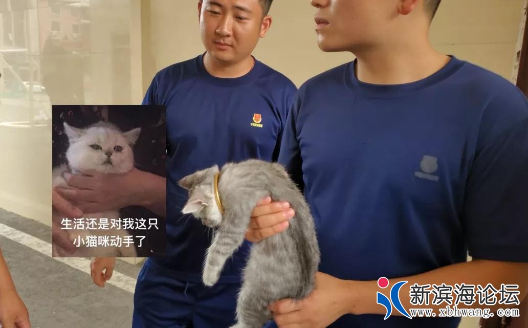 微信图片_20200714163627.jpg