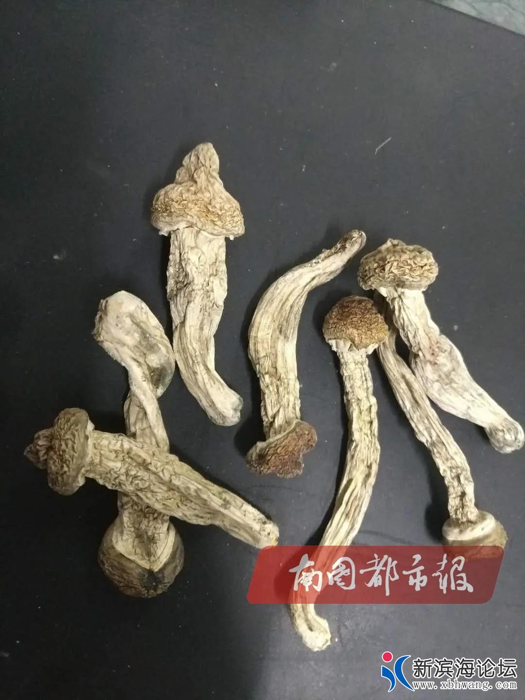 微信图片_20200715114455.jpg