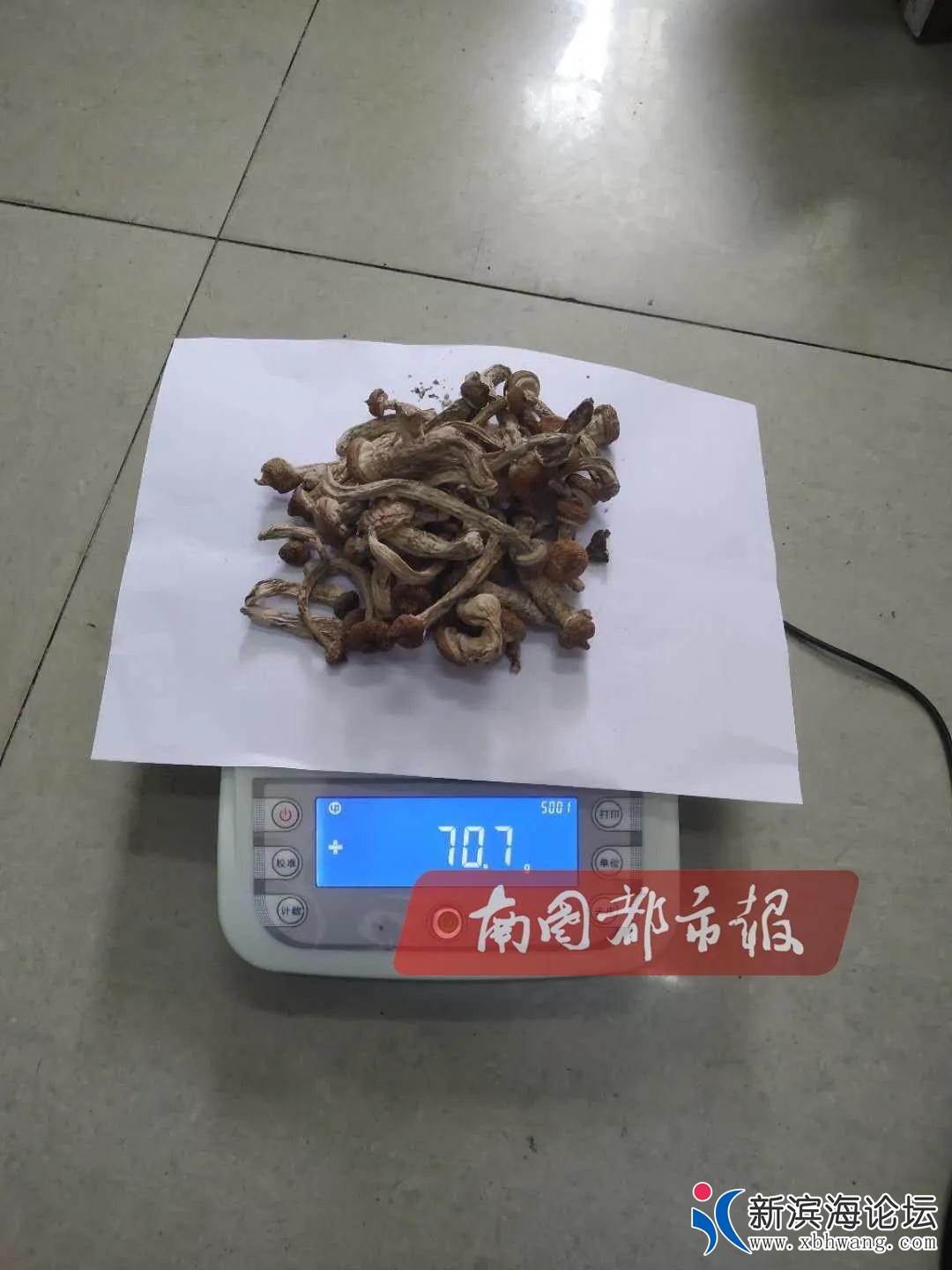 微信图片_20200715114738.jpg