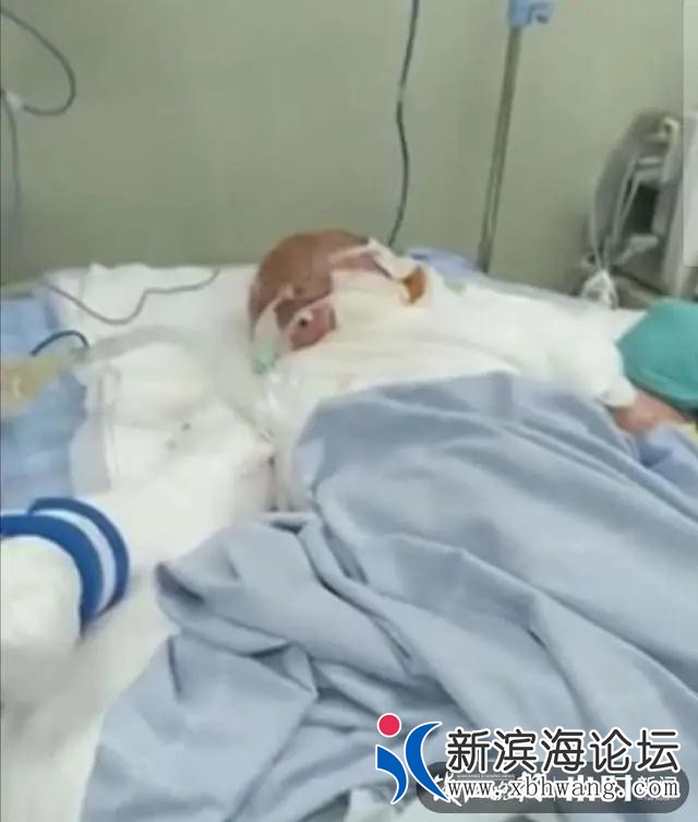 微信图片_20200717164234.jpg