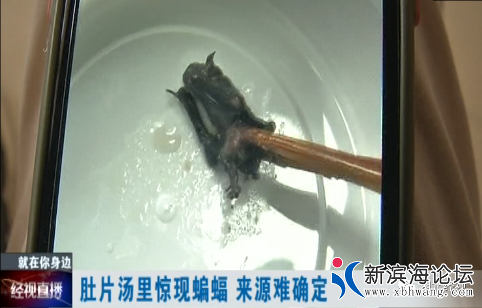 微信图片_20200723095803.png