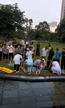 微信图片_20200727095927.gif