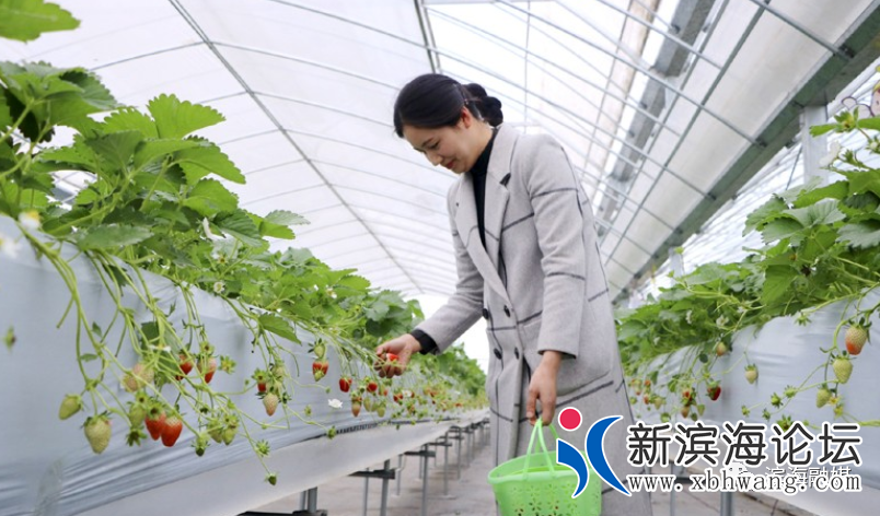 微信图片_20200728080342.png