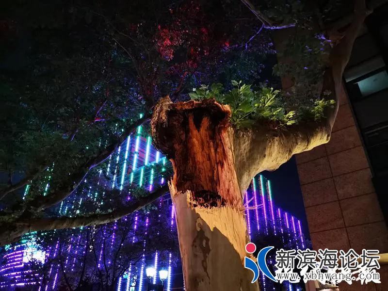 微信图片_20200802102020.jpg