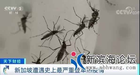 微信图片_20200803142444.jpg
