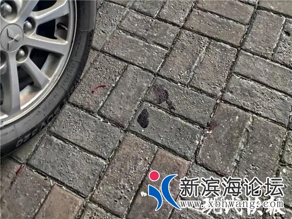 微信图片_20200807093641.jpg