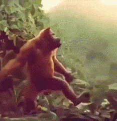 20200811_96622_1597129044007.gif