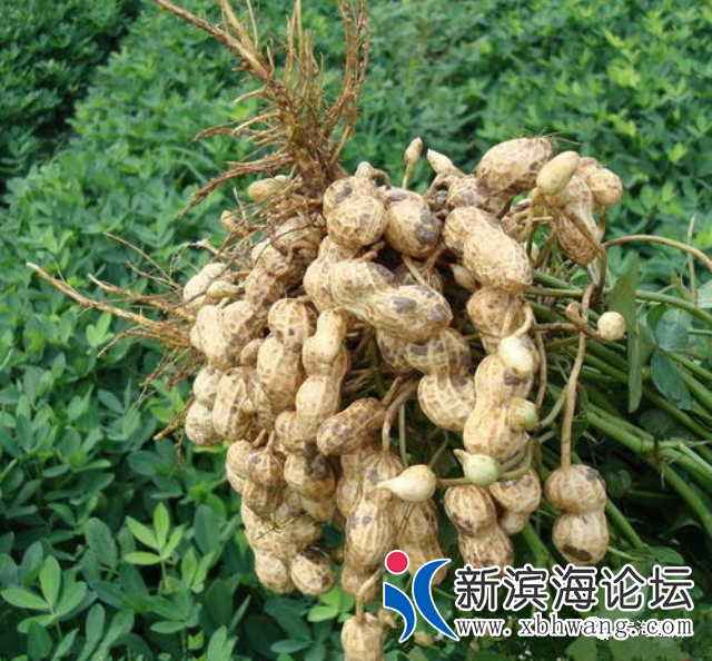 微信图片_20200825092932.png