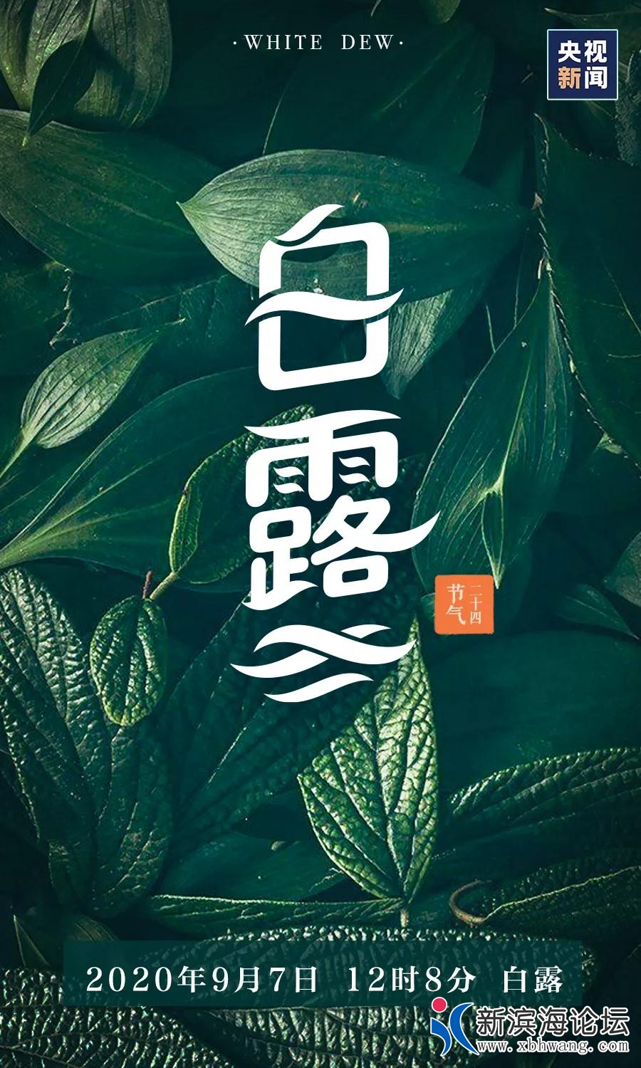微信图片_20200907092104.jpg